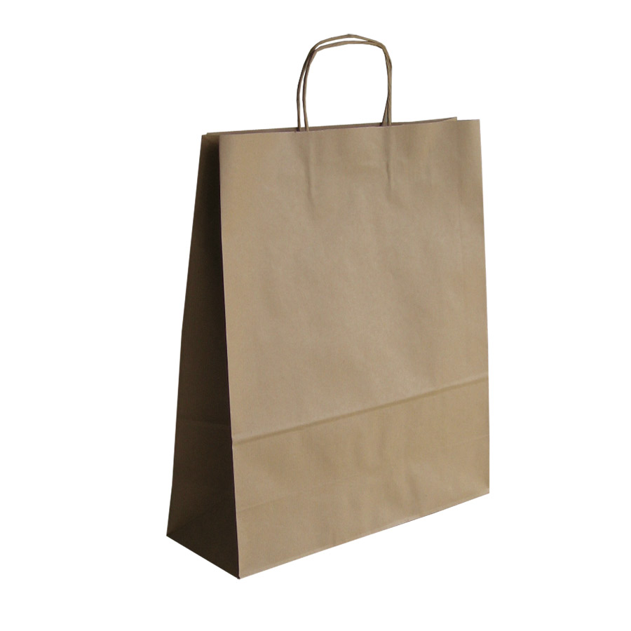 SAC PAPIER KRAFT PERSONNALISÉ ANSES TORSADEES 'HAVANO' 23X31X9 CM 115 GR/M²