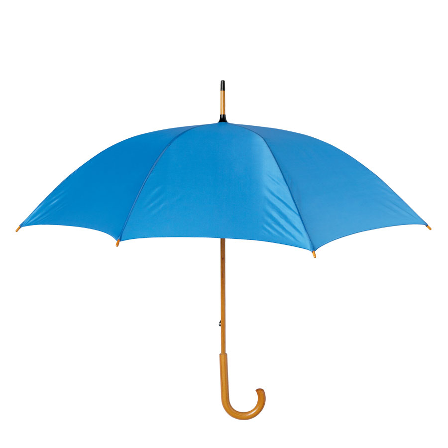 LOT DE 50 PARAPLUIES CANNE BOIS MANUEL 'DULEEK'