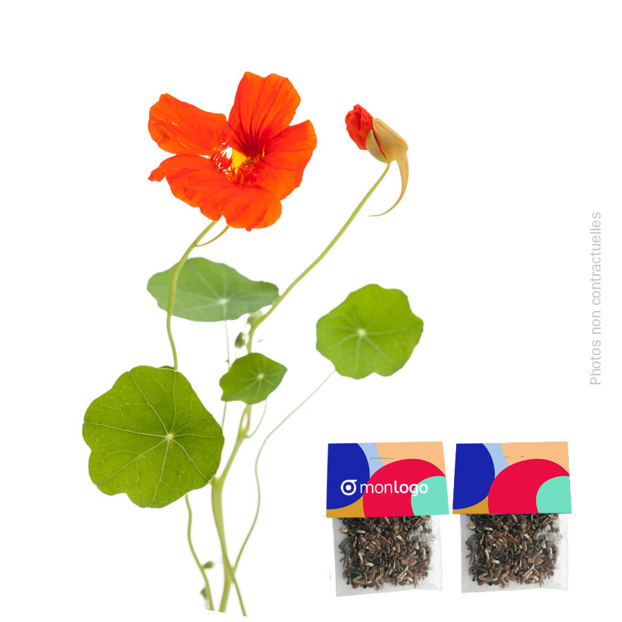 SACHET DE GRAINES PERSONNALISABLE 'SEEDY'