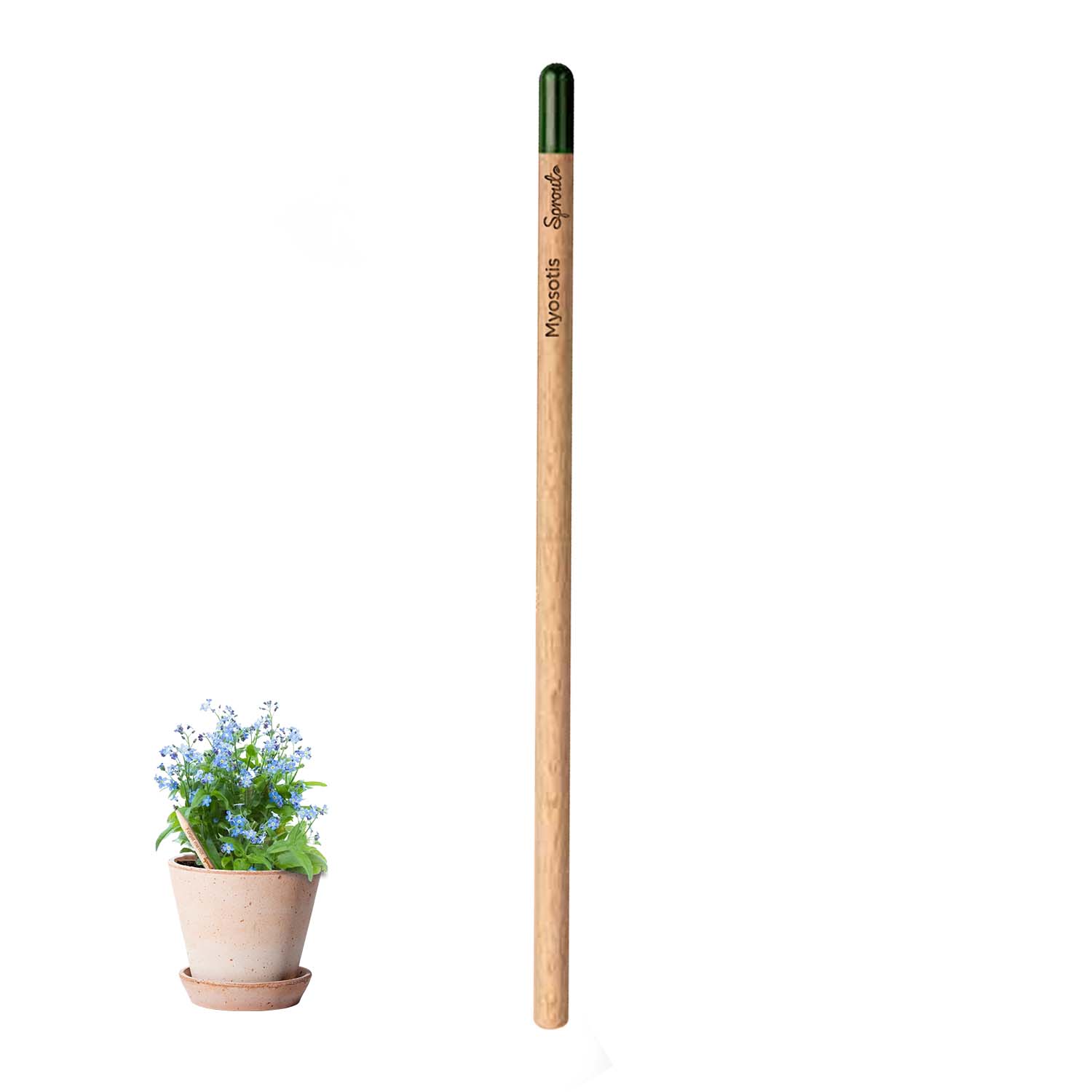 CRAYON À PAPIER PERSONNALISÉ AVEC GRAINES 'POUSS'