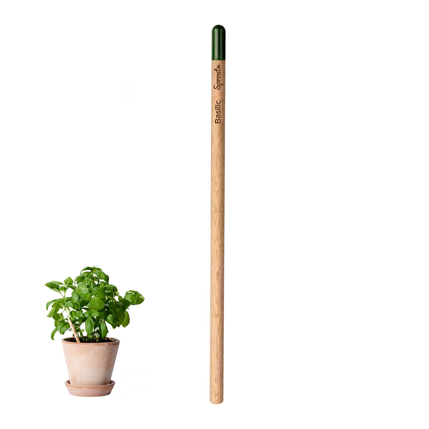 CRAYON À PAPIER PERSONNALISÉ AVEC GRAINES 'POUSS'