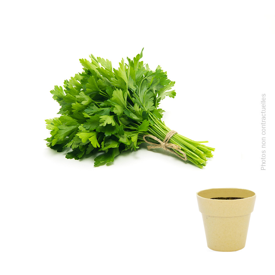 KIT DE PLANTATION BIODÉGRADABLE PERSONNALISÉ 'ARROSY'