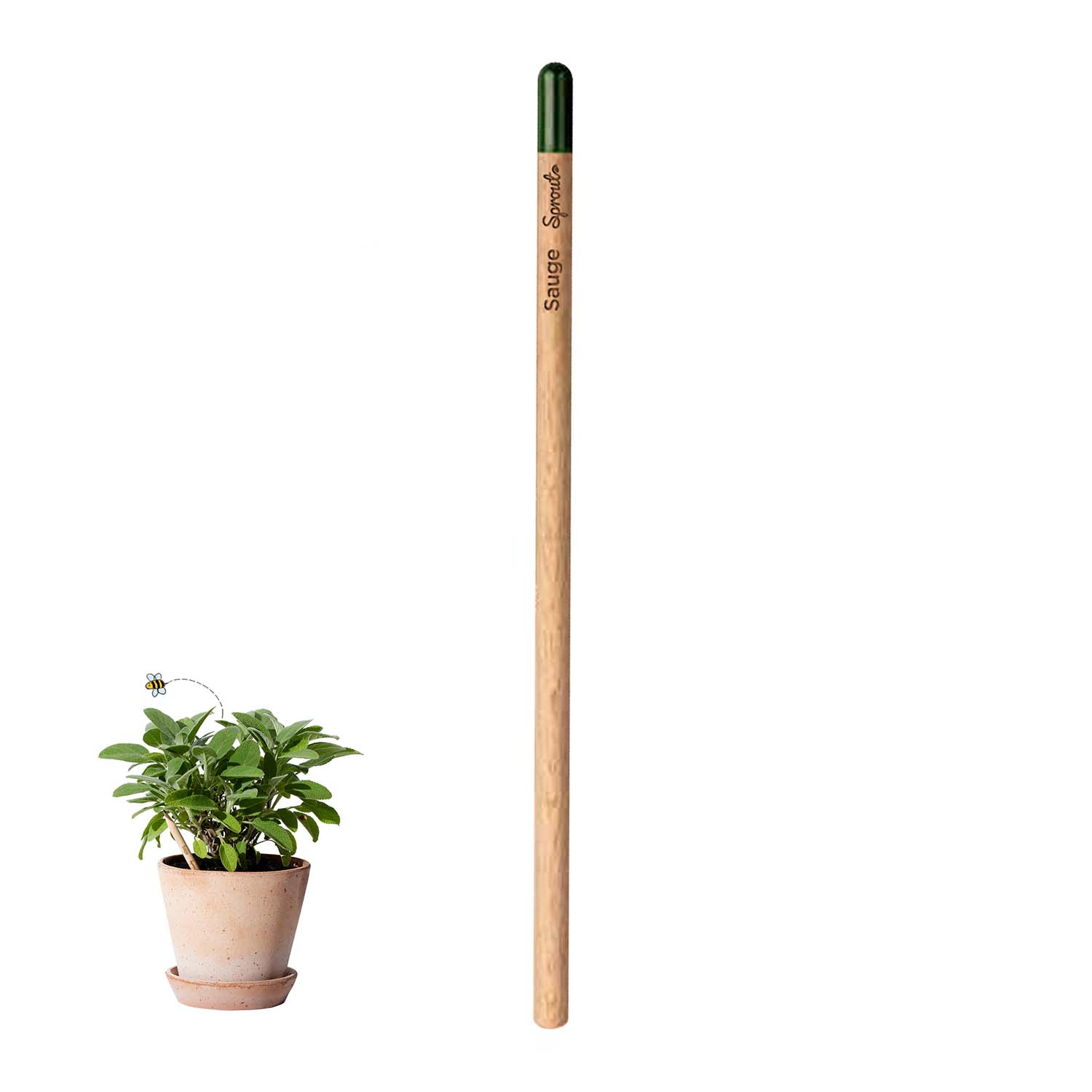 CRAYON À PAPIER PERSONNALISÉ AVEC GRAINES 'POUSS'