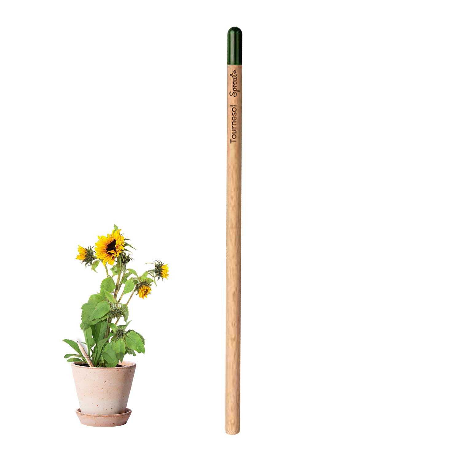 CRAYON À PAPIER PERSONNALISÉ AVEC GRAINES 'POUSS'