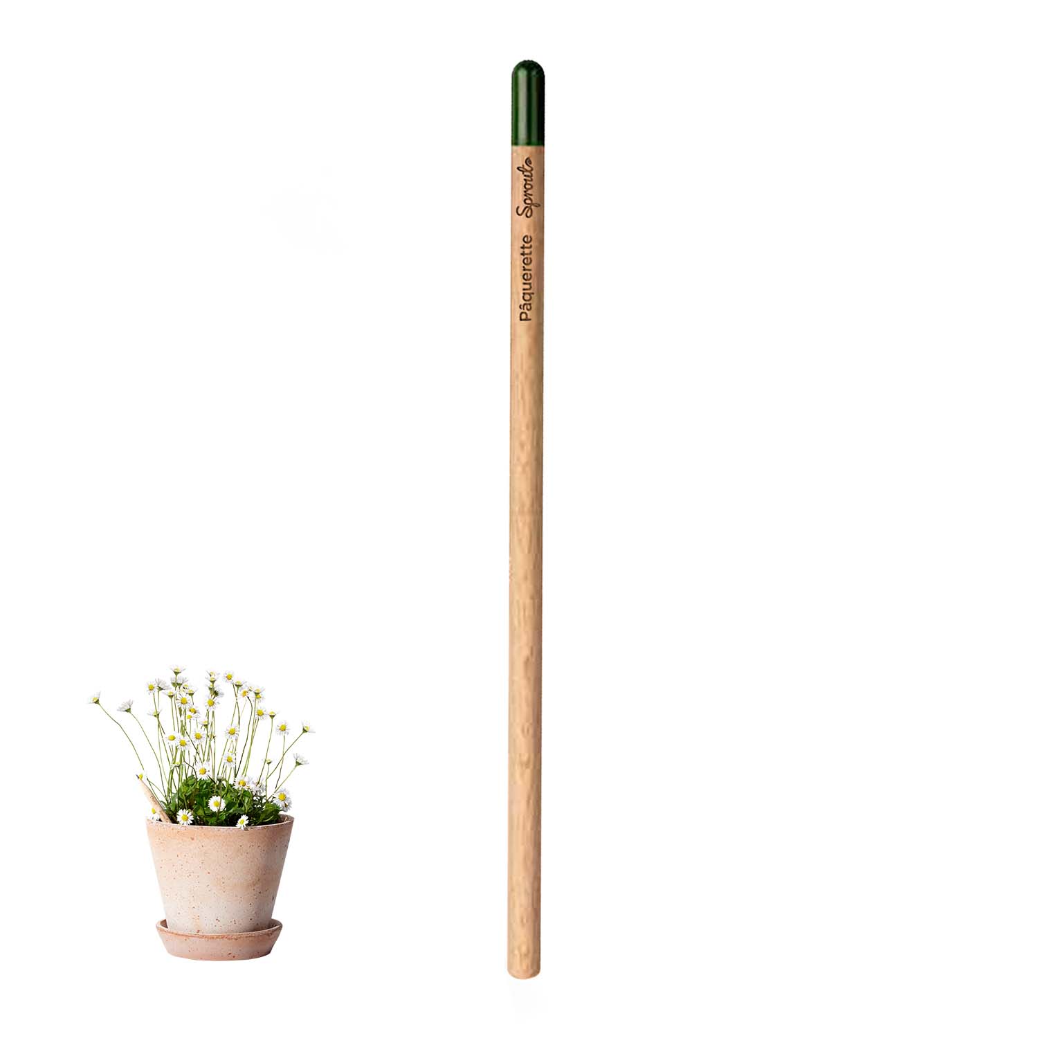 CRAYON À PAPIER PERSONNALISÉ AVEC GRAINES 'POUSS'