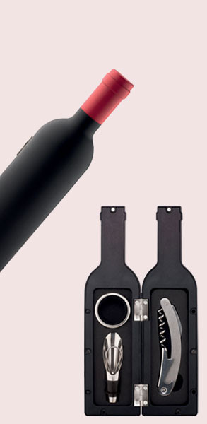 SET SOMMELIER 3 ACCESSOIRES