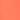 corail fluo